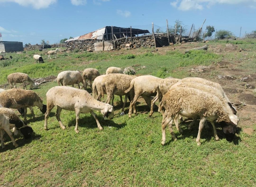 Panoramic Paradise La Ferme エクステリア 写真